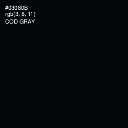 #03080B - Cod Gray Color Image
